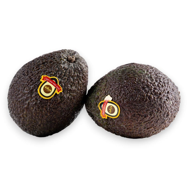 avokado črni