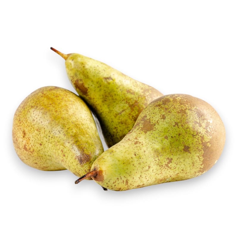 hruška confferanca