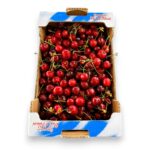 Češnje M (2kg)